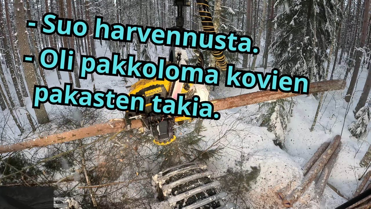 Vuosi alkoi pakkas vapailla ja nyt suo männikön harvennusta. Ponsse Scorpion K H7 AC FC