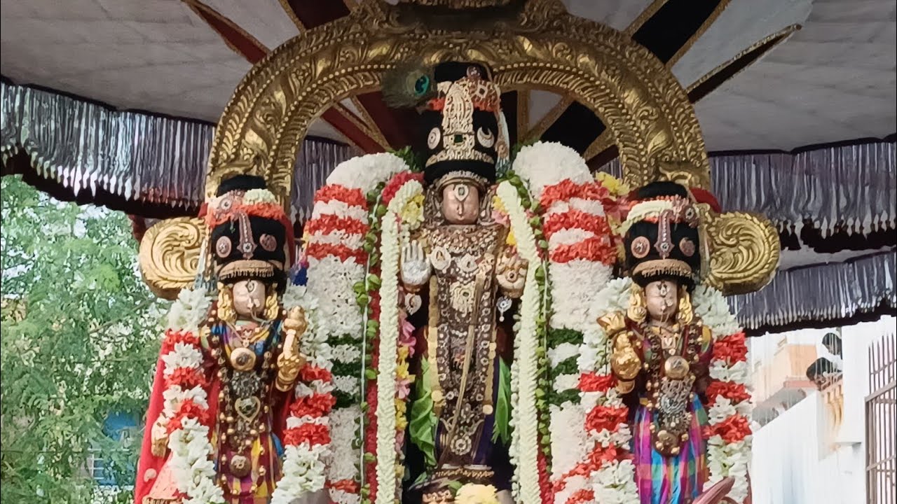 தெள்ளிய சிங்கர் நரசிம்மர் தெப்போற்சவம்.  திருவல்லிக்கேணி 20.2.26.
