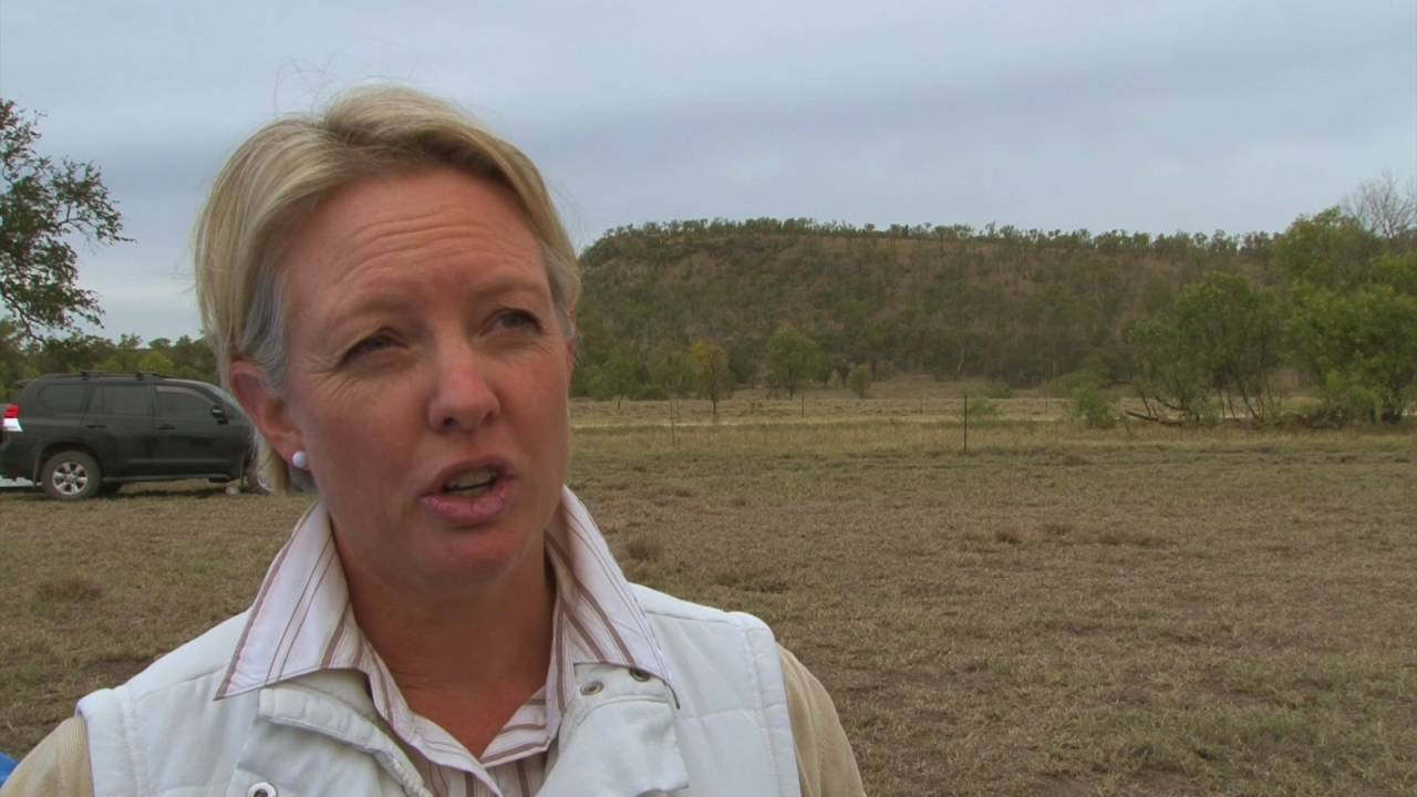 Sarah Cox What the locals say