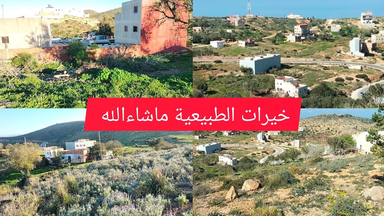 الخضورية والطبيعة ماشاءالله 😍