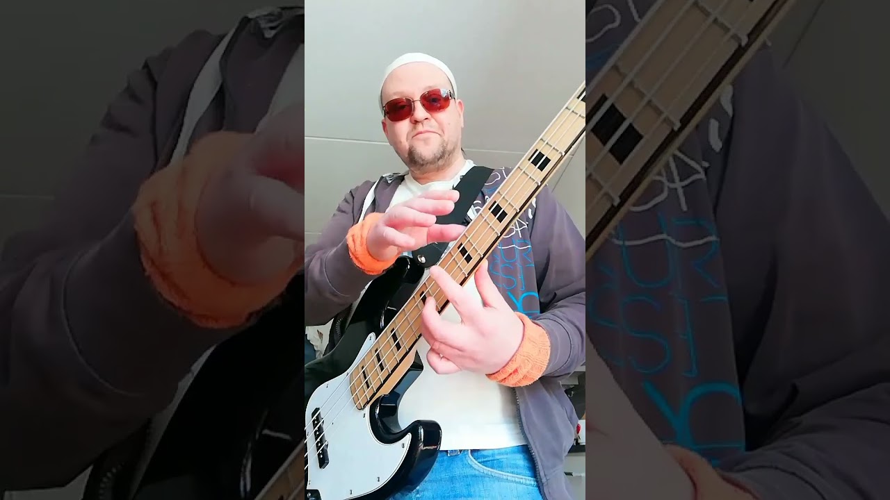 House Of The Rising Sun | Bass Cover 