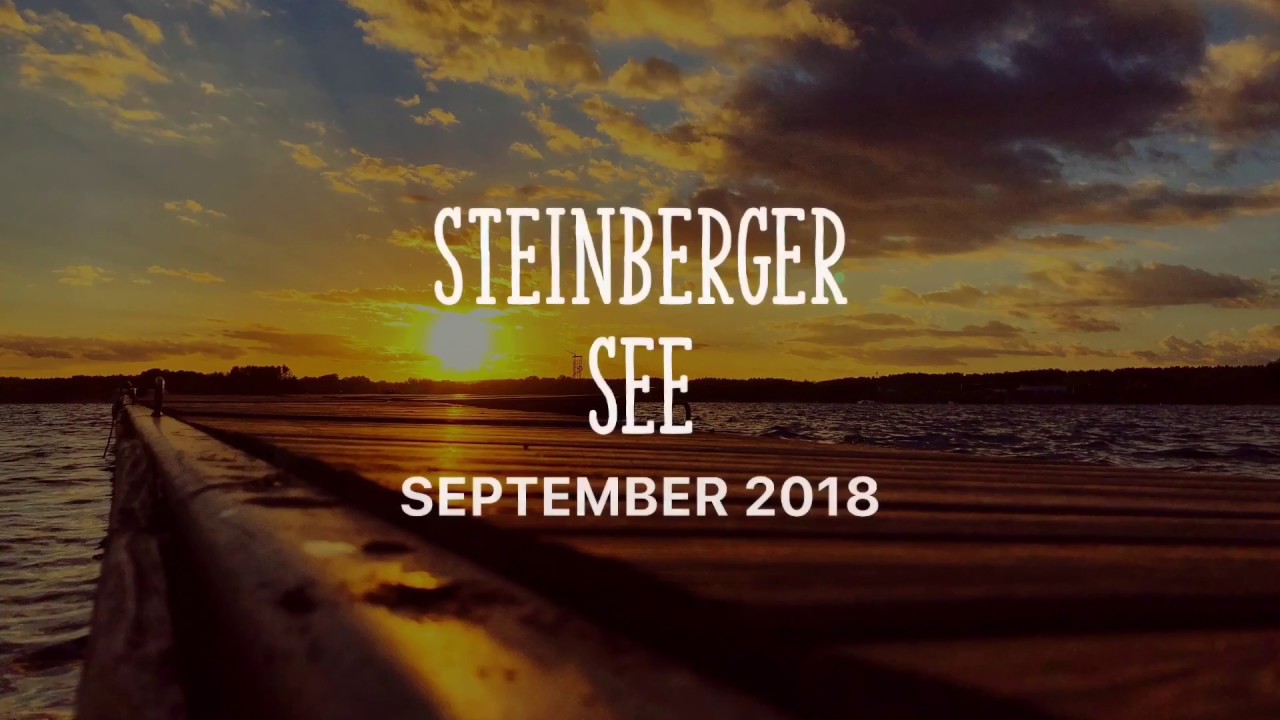Steinberger See ✌️ (Silver - Rob Simonsen)