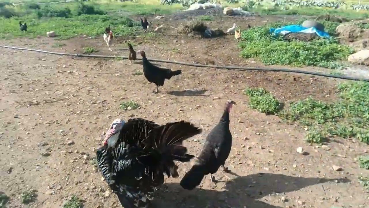 خريجة عائلية👨‍👩‍👧‍👦 ممتعة مع مناظر طبيعية🏕 يا سلاااام🥰🥰