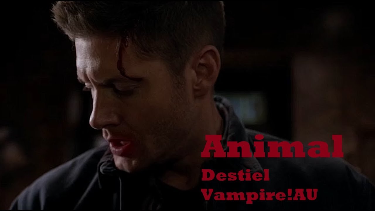 Animal - Destiel Vampire!AU