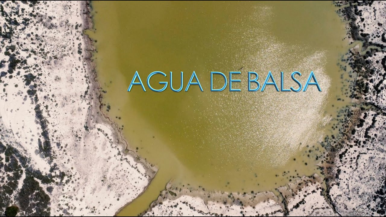 AGUA DE BALSA
