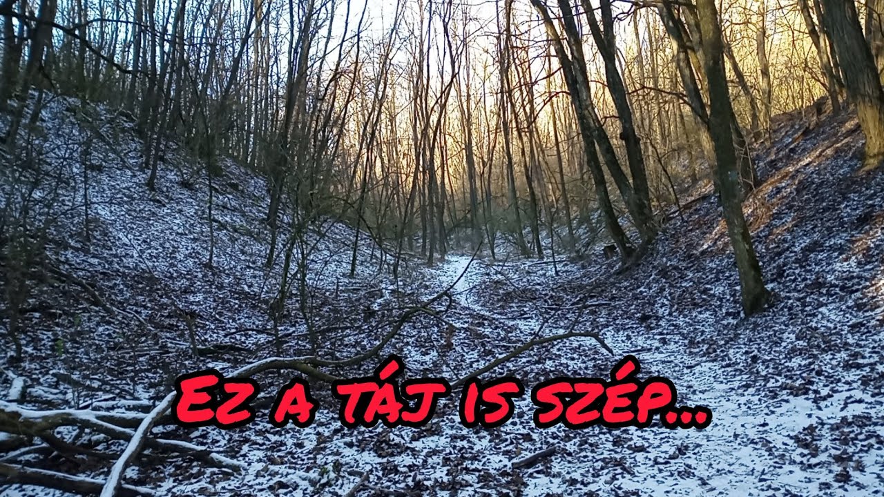 Egyszerre sár és hó, avagy PMP a Gödöllői-dombságban