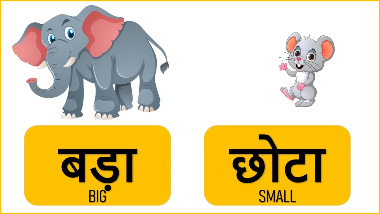 Opposite words in Hindi | Vilom Shbd | विलोम / विपरीत शब्द | Hindi Grammar | उल्टे अर्थ वाले शब्द