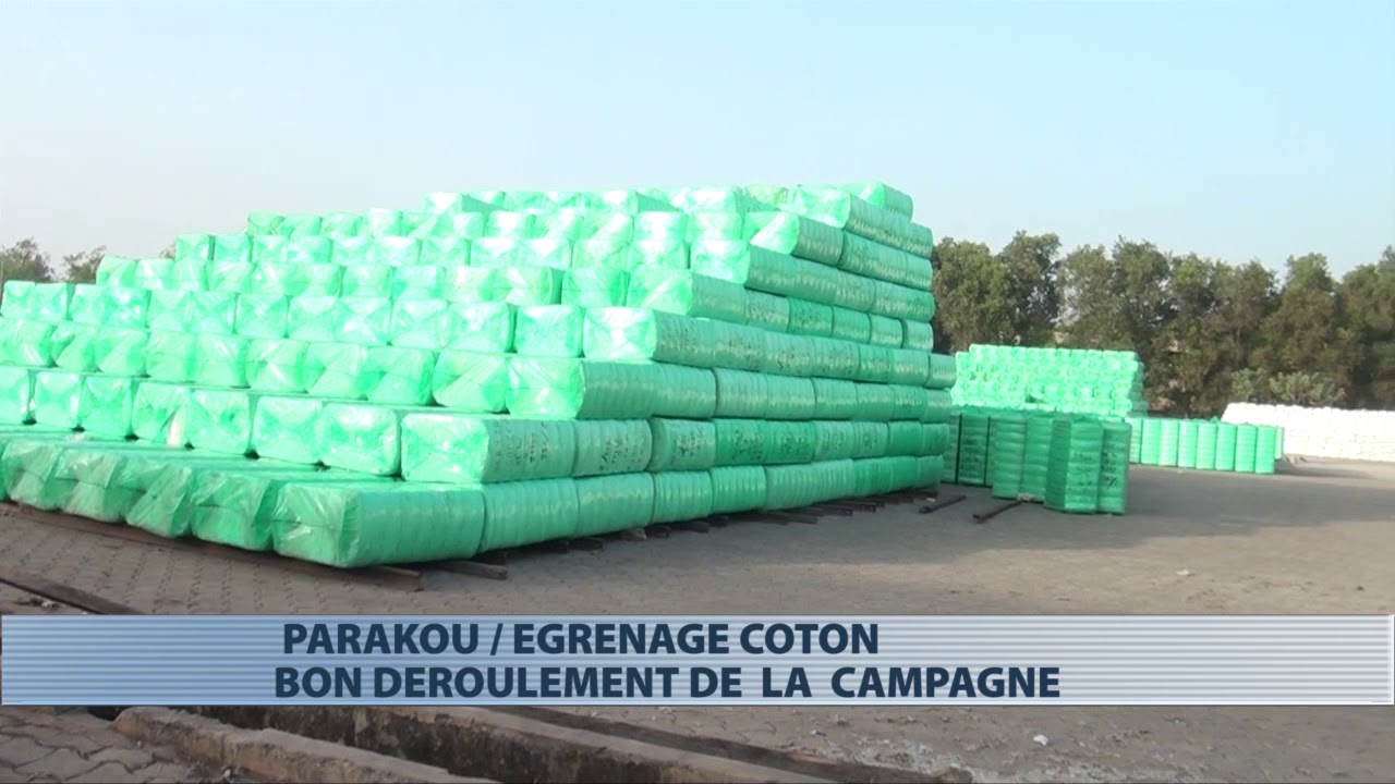Parakou : constat du d&eacute;roulement de l'&eacute;grenage de coton dans les usines