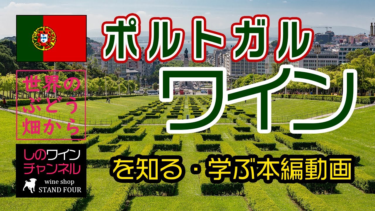 【ポルトガル】ワインを知る！学ぶ！本編動画（飯田） しのワインちゃんねる　世界のぶどう畑からシリーズ（2023.11）