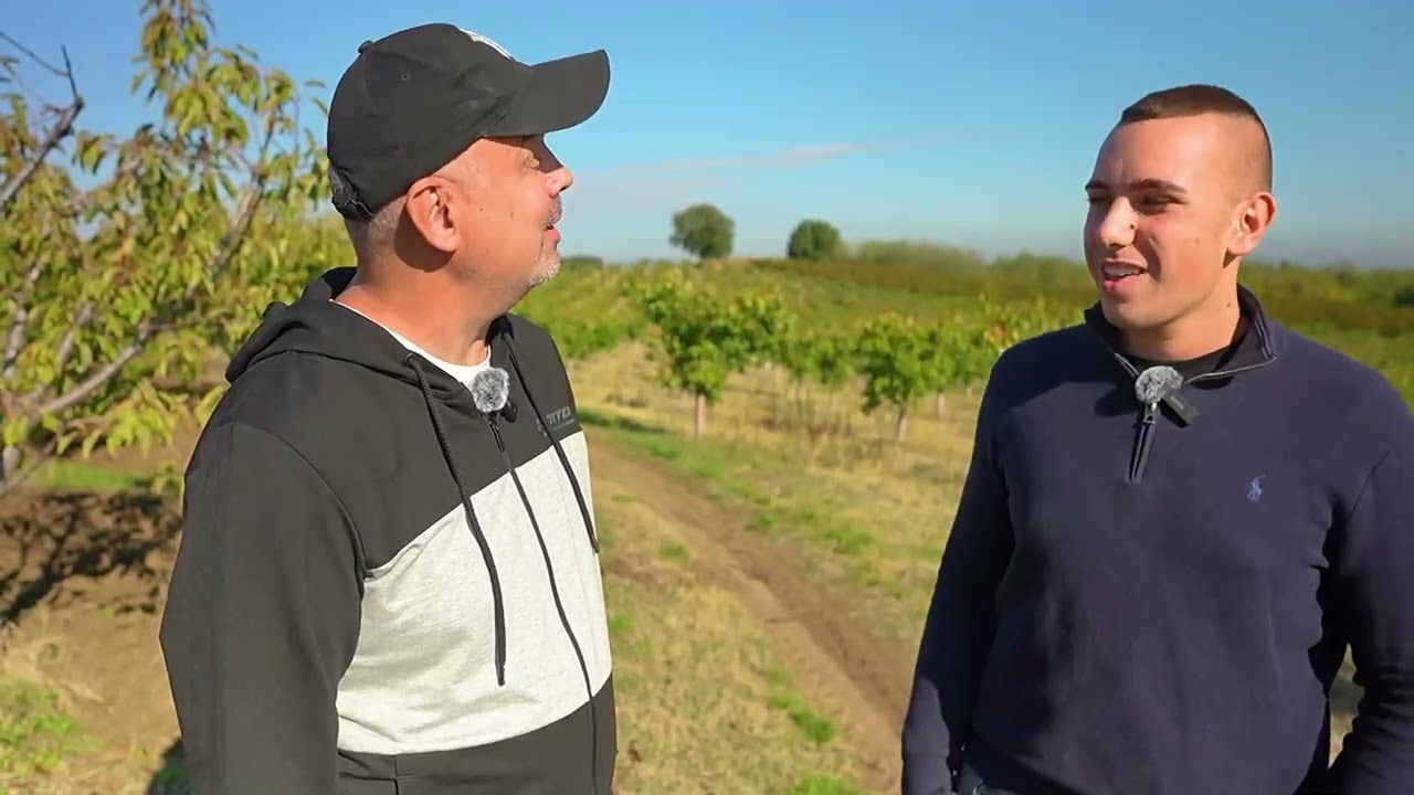 Kajsije i jabuke iz Begaljice- Princ Fruit