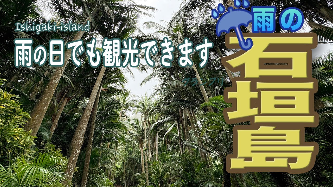 【11月石垣島】1日雨の石垣島観光どう遊ぶ？/レンタカーあり
