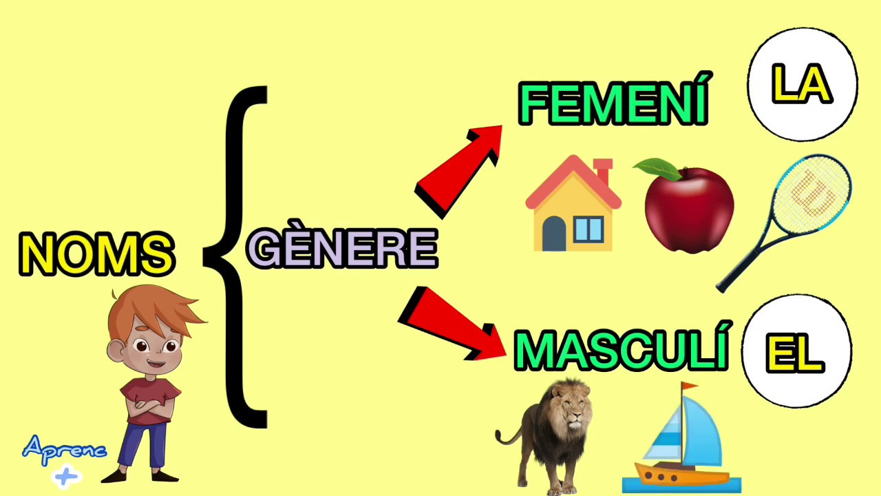 Els noms | gramàtica | vídeos educatius