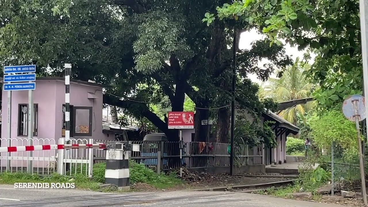 🇱🇰Train Crossing at Railway Crossing and Station at Cotta Road #travel #roadtrip #trainvideo #train