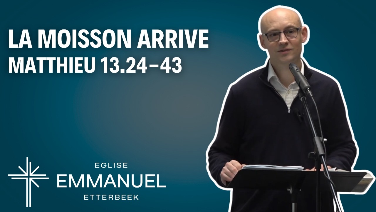 La moisson arrive (Matthieu 13.24-43)