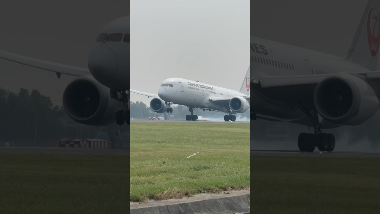 Japan Airlines landing | Boeing-787 | #shorts #trending #aviation #viralshorts #japan #japanese