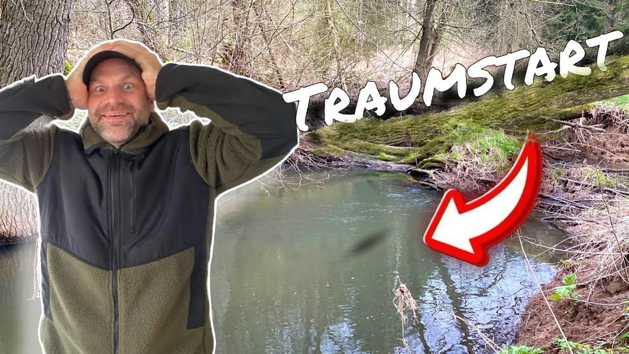 Traumforelle an kleinem Bach!
