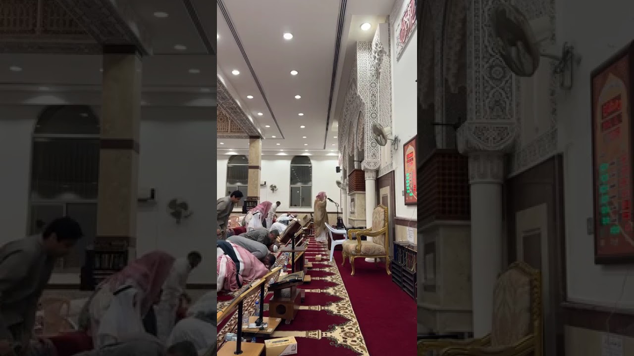 صلاة العشاء والتراويح فضيلة الشيخ مشعل المطر ليلة السابع رمضان ١٤٤٧ دولة الكويت @خدمةالشيخمشعلالمطر 