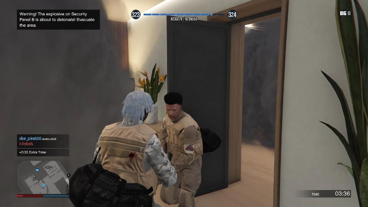 Mansion raid