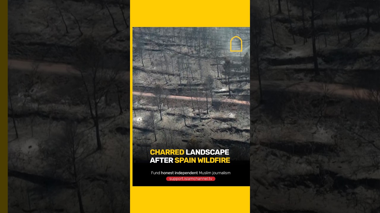 Charred landscape after Spain wildfire