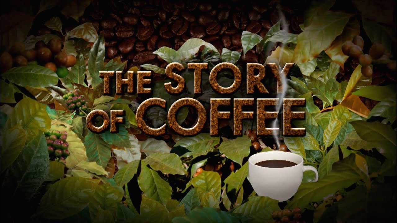 The Story of Coffee Trailer