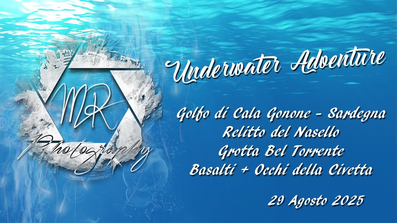 Immersioni in Sardegna 2024