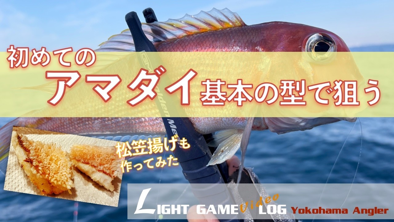 初めてのアマダイ、基本的の型で狙う！