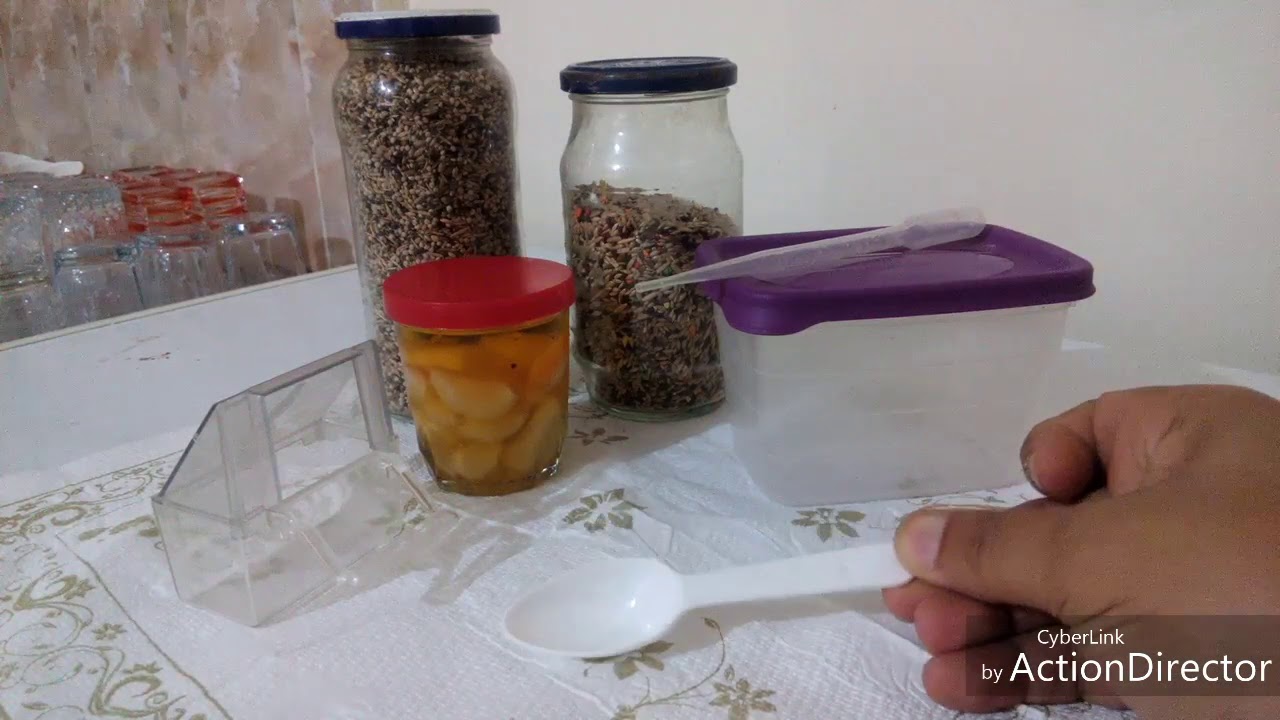 ما هي كمية البذور المقدمة لطيورنا و الغرض منها...!!!؟