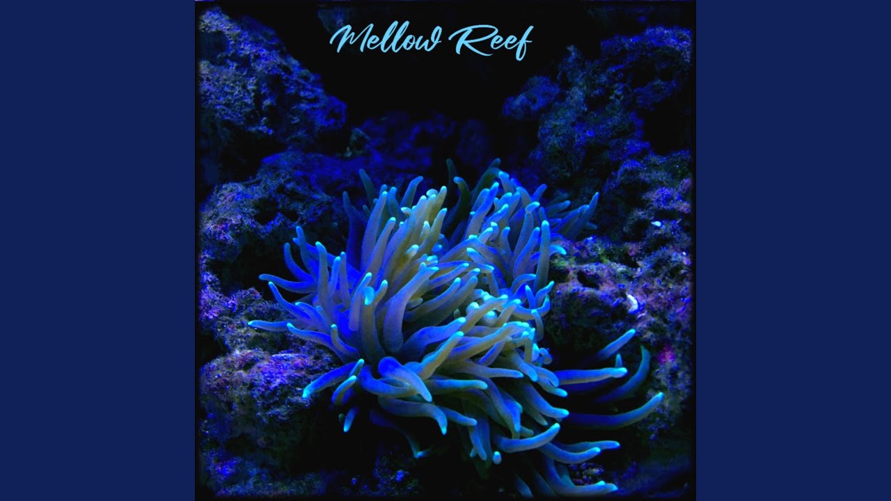 Mellow Reef (feat. Gatz2Gatz)