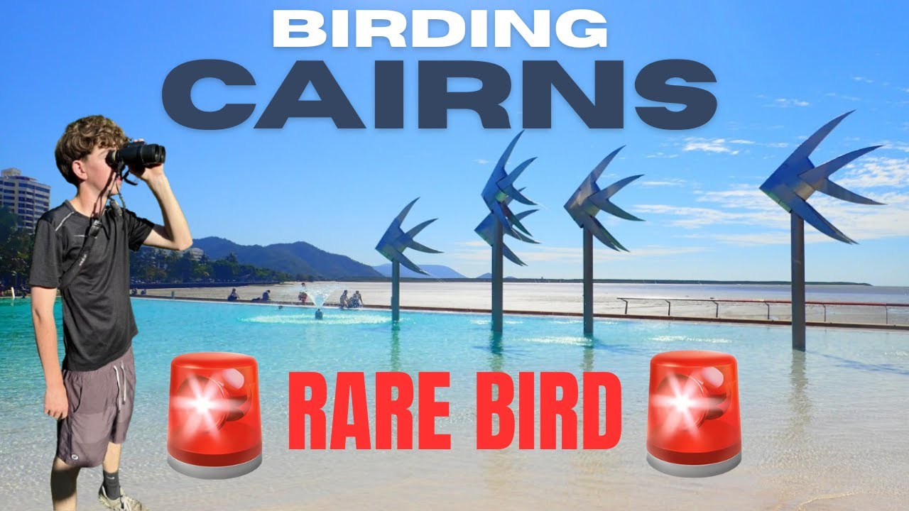 До птичьего заповедника Кэрнс в Австралии осталось всего несколько часов… Можно ли найти зеленоно...