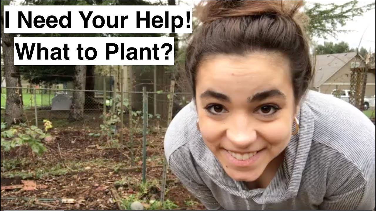 Cleaning Up Over Grown Raised Bed