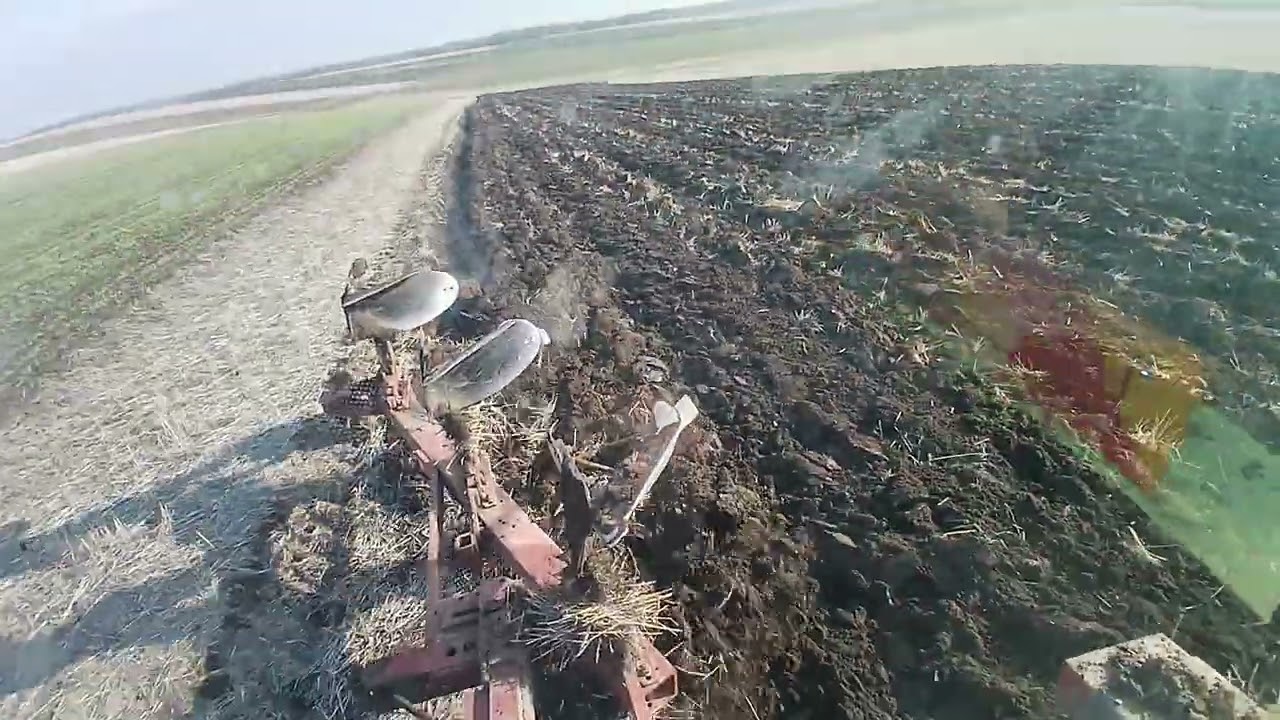 Arătură de toamnă