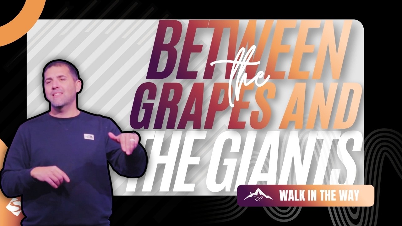Between The Grapes & The Giants /// WALK IN THE WAY