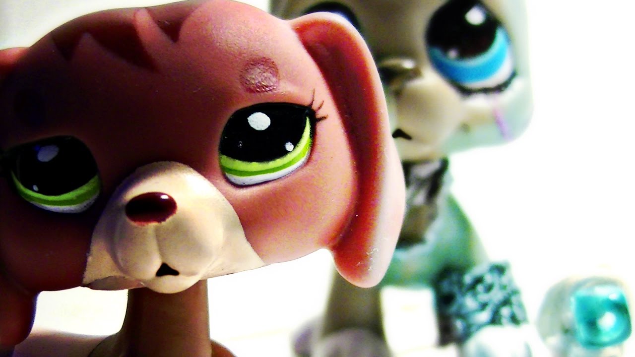 Littlest Pet Shop: ♰Kissing Sin♰ (Episode #1: First meeting)
