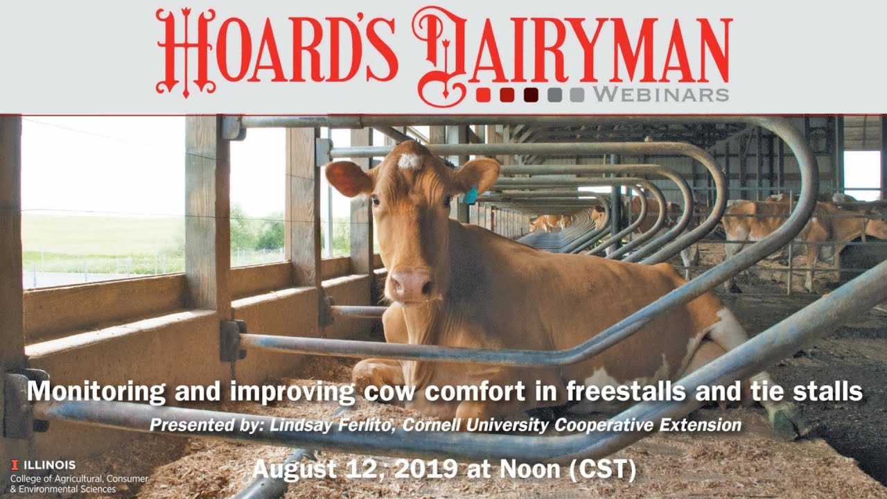 Monitoring and improving cow comfort in freestalls and tie stalls