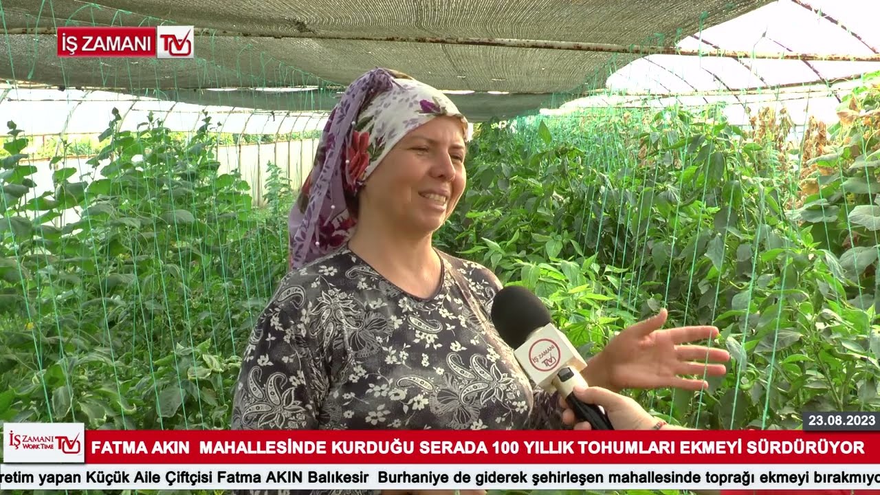 FATMA AKIN  MAHALLESİNDE KURDUĞU SERADA 100 YILLIK TOHUMLARI EKMEYİ SÜRDÜRÜYOR