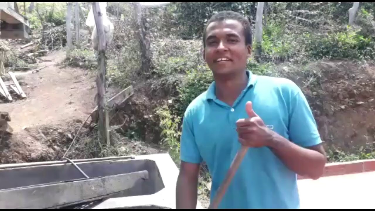 lavado del café