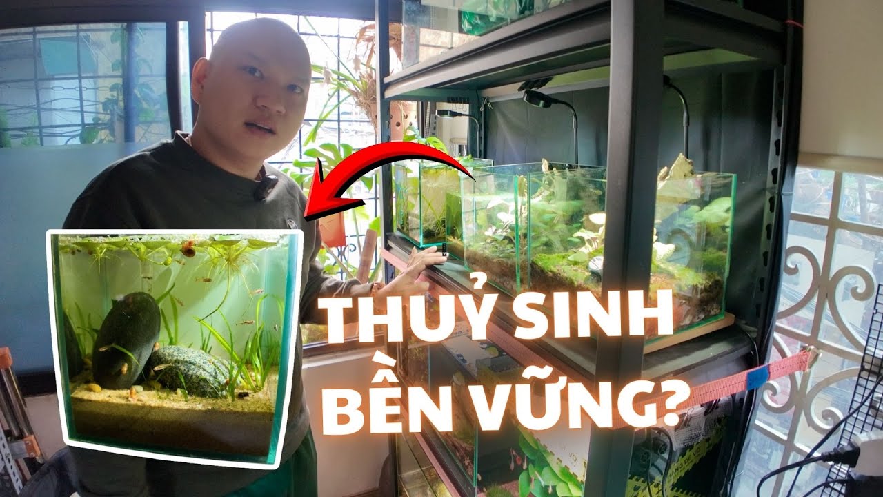 (Tập 1) Khám phá phong cách chơi 