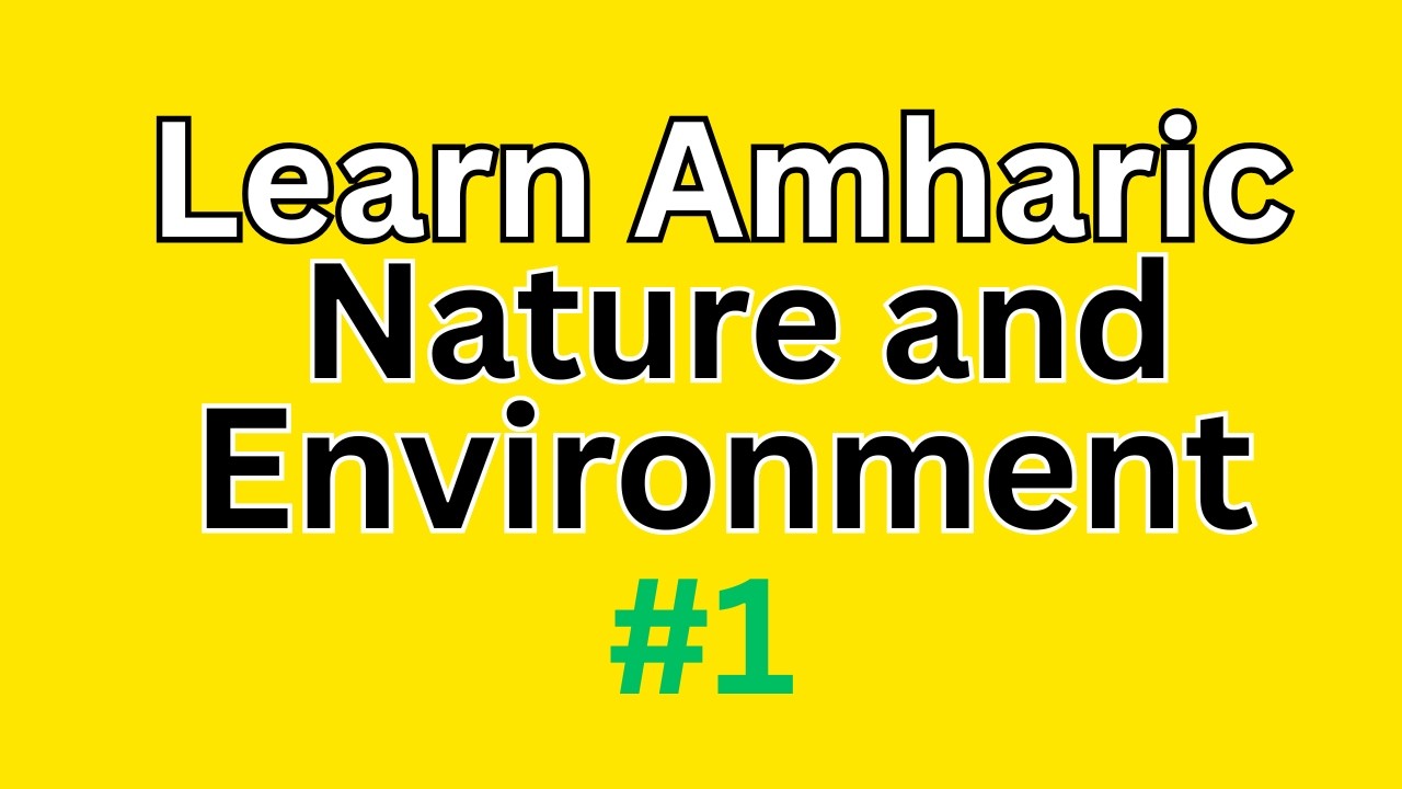 20+essential words to explore nature in amharic