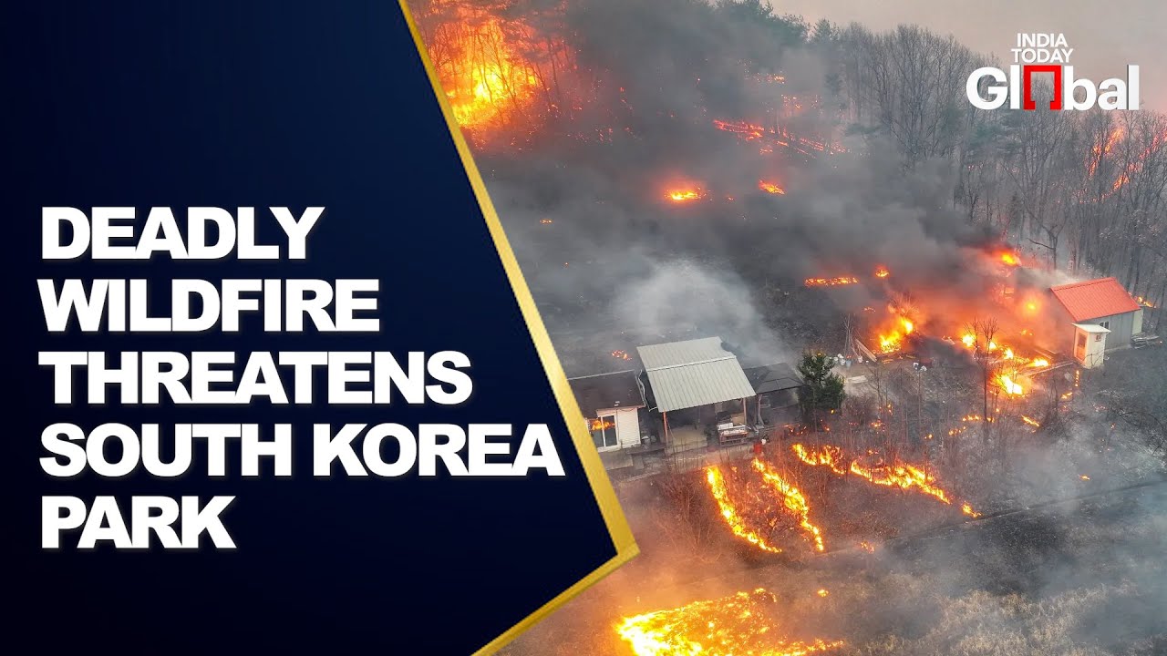 LIVE: Deadly Wildfire Threatens National Park in South Korea | India Today Global