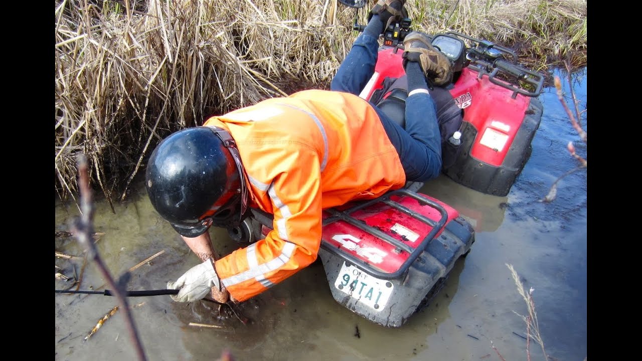 Grizzly, Kodiak And Fourtrax Return To The Beaver Pond