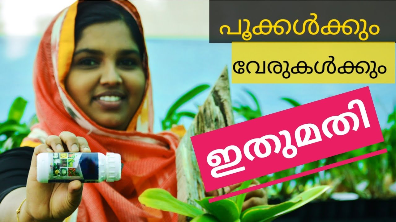 ഓർക്കിടുകൾക്കും പച്ചക്കറികൾക്കും ഈ ജൈവവളം ഉണ്ടെങ്കിൽ മറ്റുവളങ്ങൾ കൊടുക്കാതെ തന്നെ വളർച്ച ഇരട്ടിയാകും
