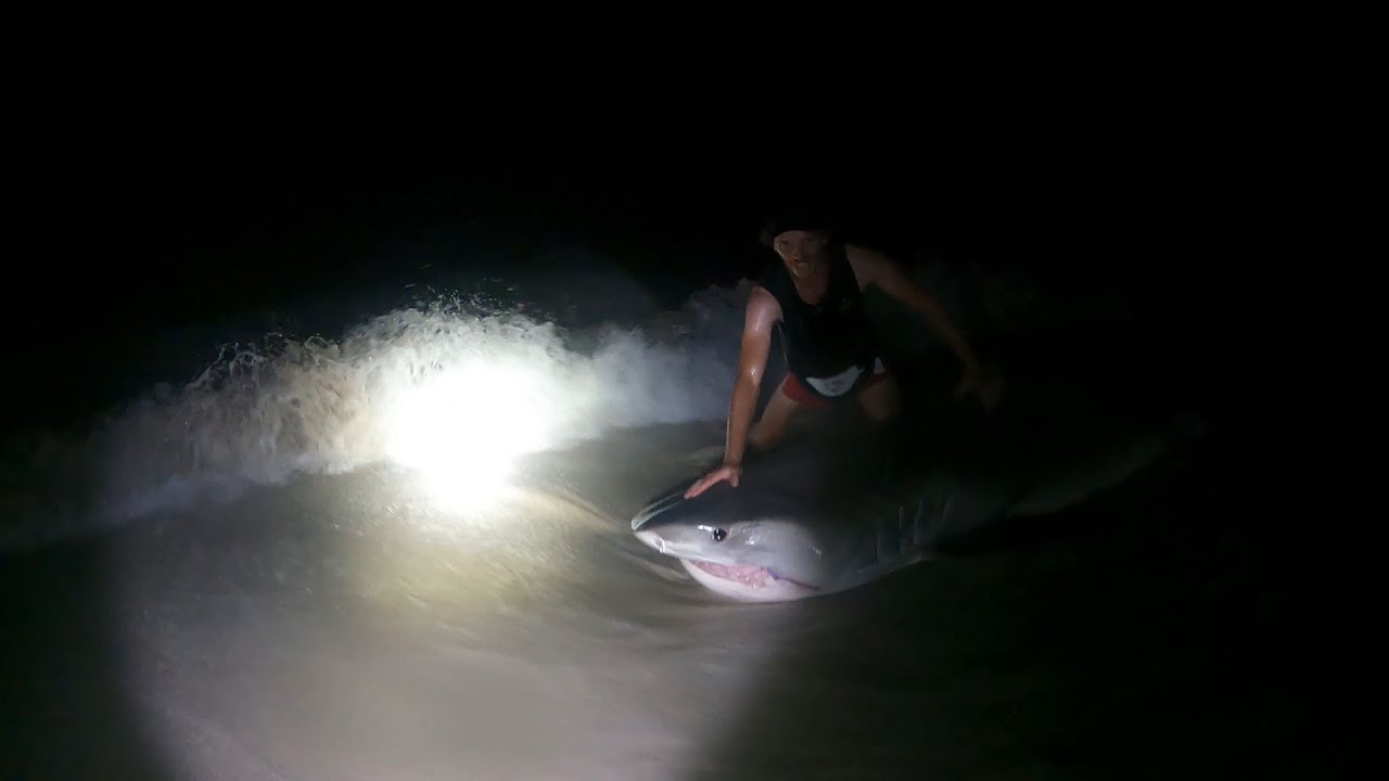 Cracked the 4m!!! Monster Shark Fishing WA - Ep 25