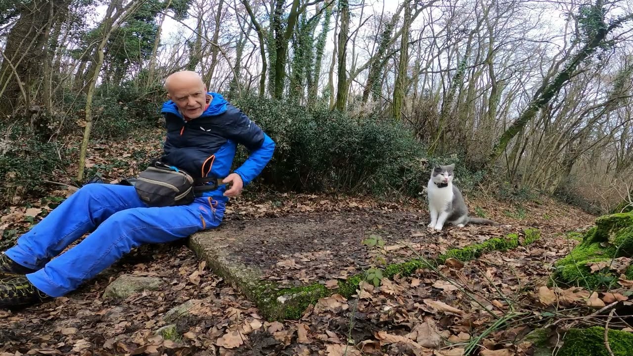 Passeggiata da Montecchio a Monte Comun  12-2-2026