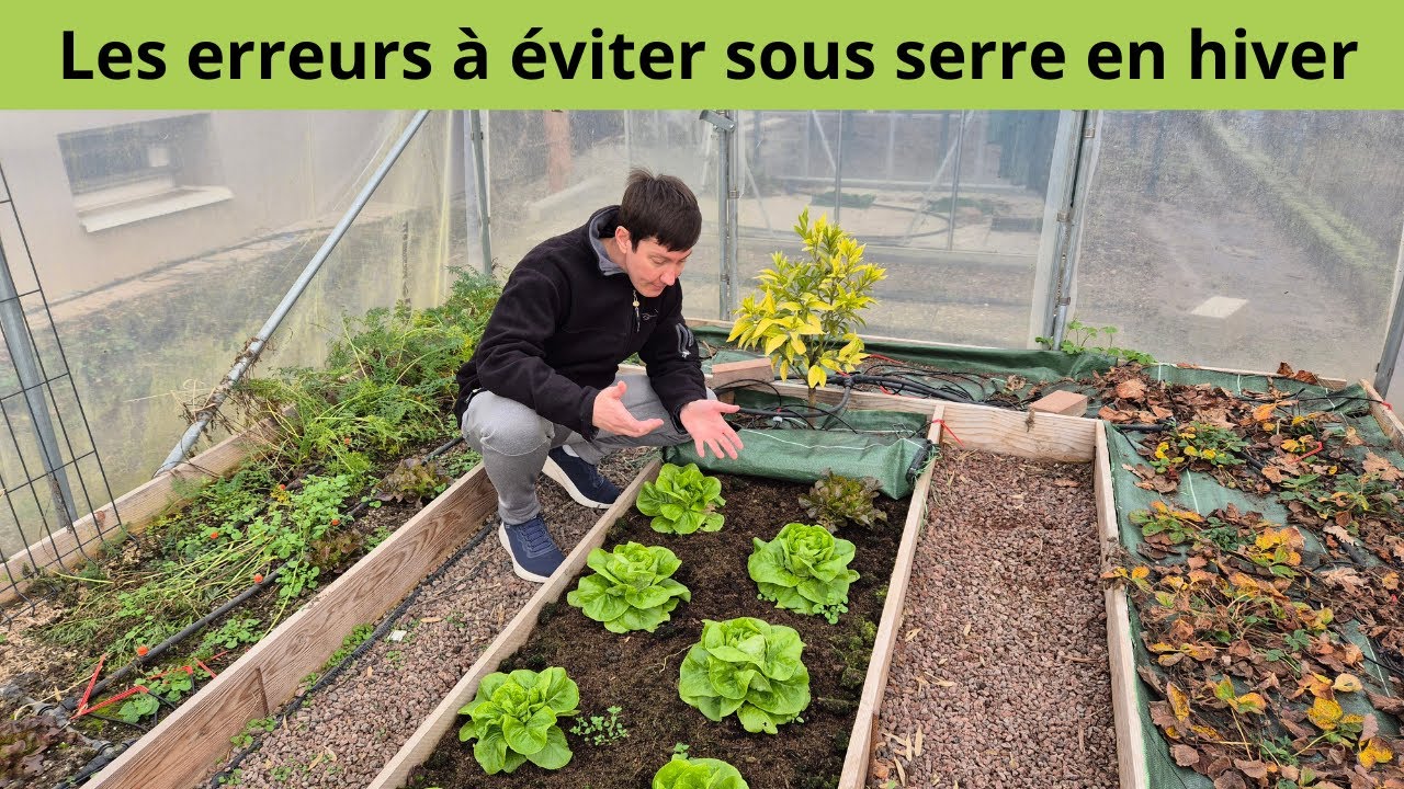 Les erreurs à éviter sous serre en hiver