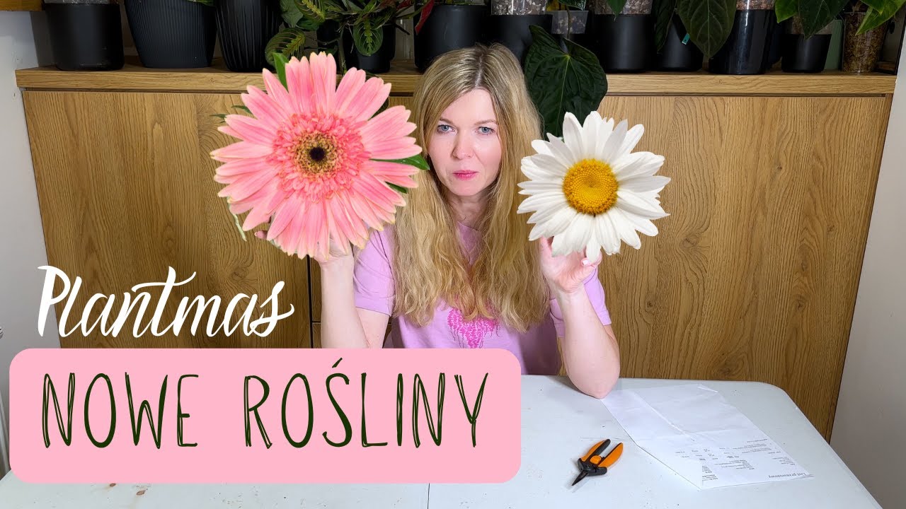 4 nowe rośliny ode mnie dla mnie