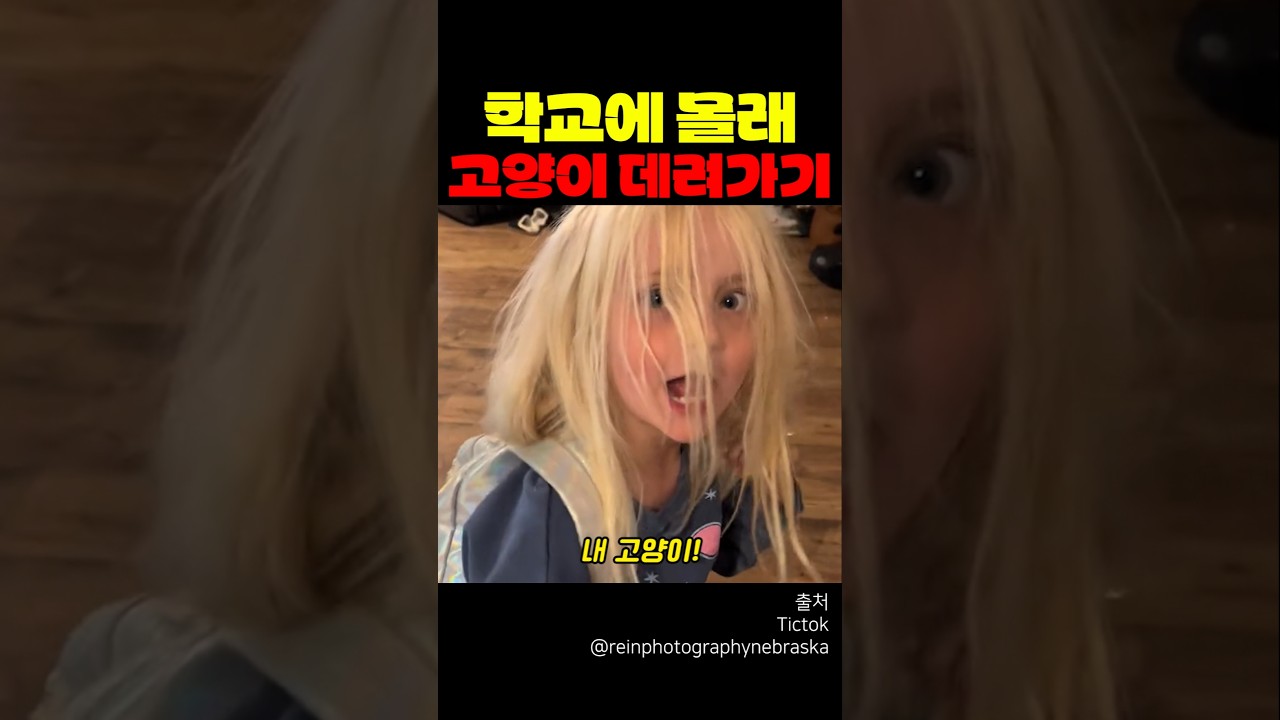 학교에 몰래 고양이 데려가기