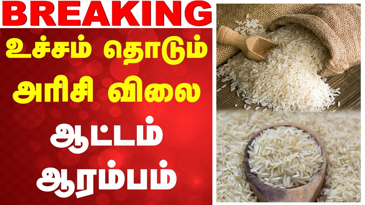 உச்சம் தொடும் அரிசி விலை - ஆட்டம் ஆரம்பம் | Rice Price Hike |  Economic New s |News Update