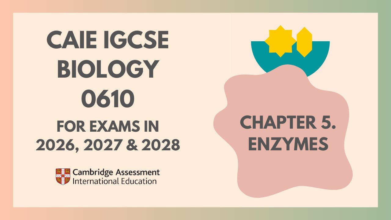 5. Ферменты (Кембриджский курс IGCSE по биологии 0610 для экзаменов в 2026, 2027 и 2028 годах) @I...