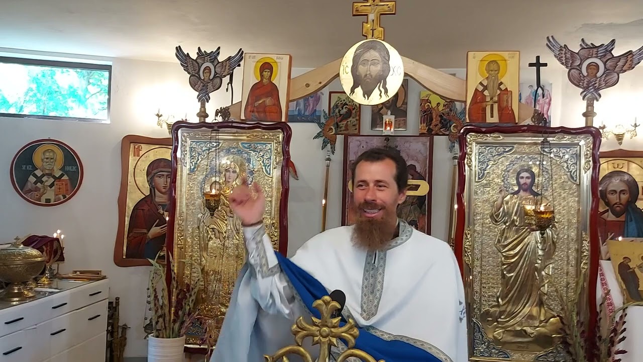 Hristos vrea sa fim complet vindecați, nu parțial! Pr. Claudiu Melean 28.07.2024