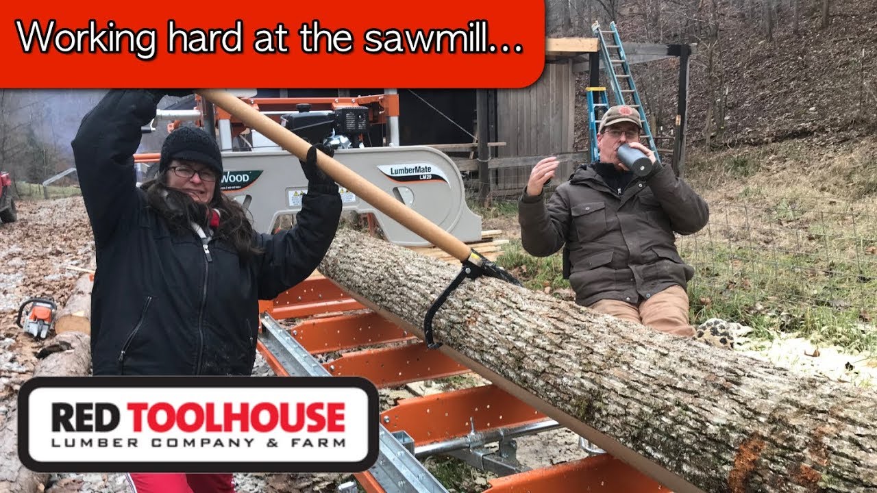 How much lumber did we get from one tree??